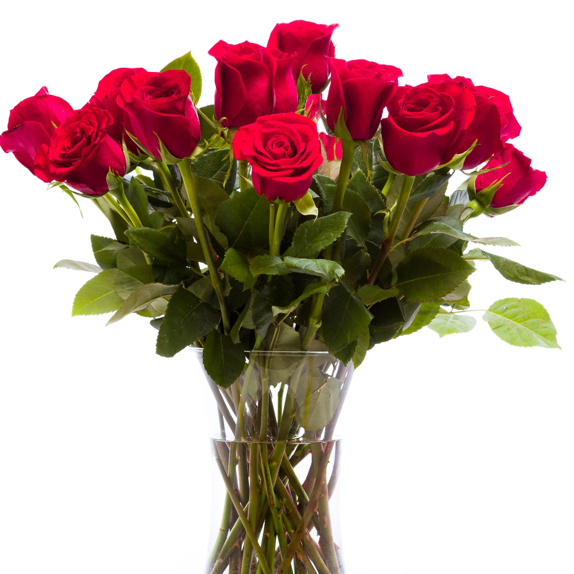 Bouquet of red roses in a clear vase on a white background