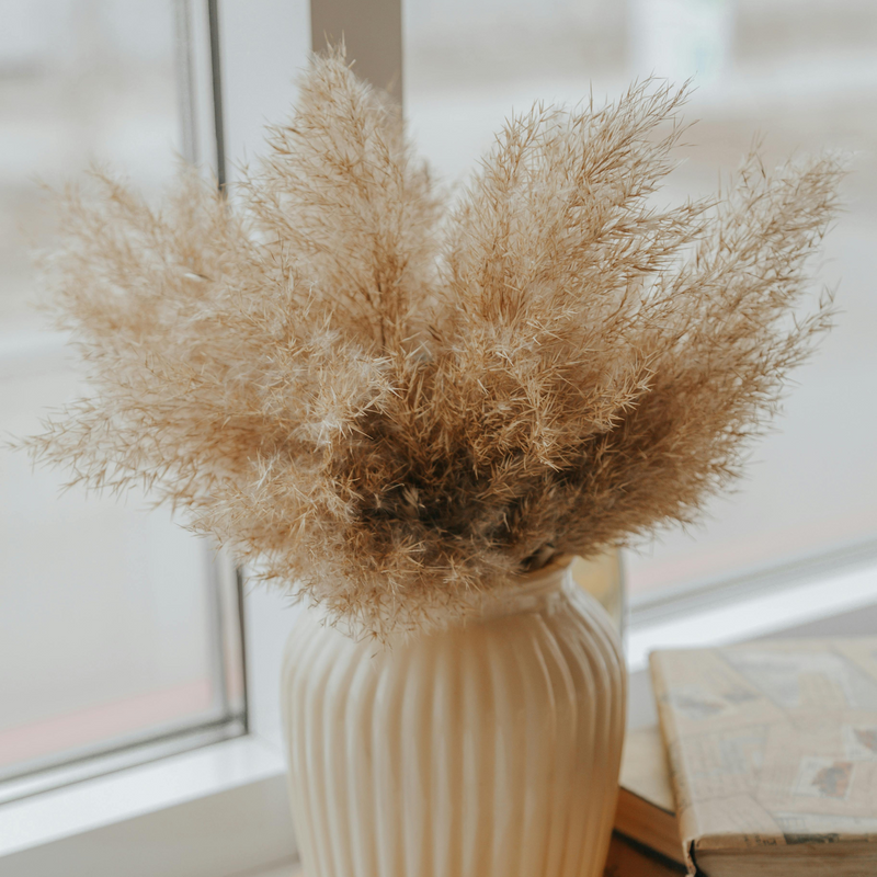 Eos Blooms Preserved XL Pampas in a white vase elevates your home with natural charm.