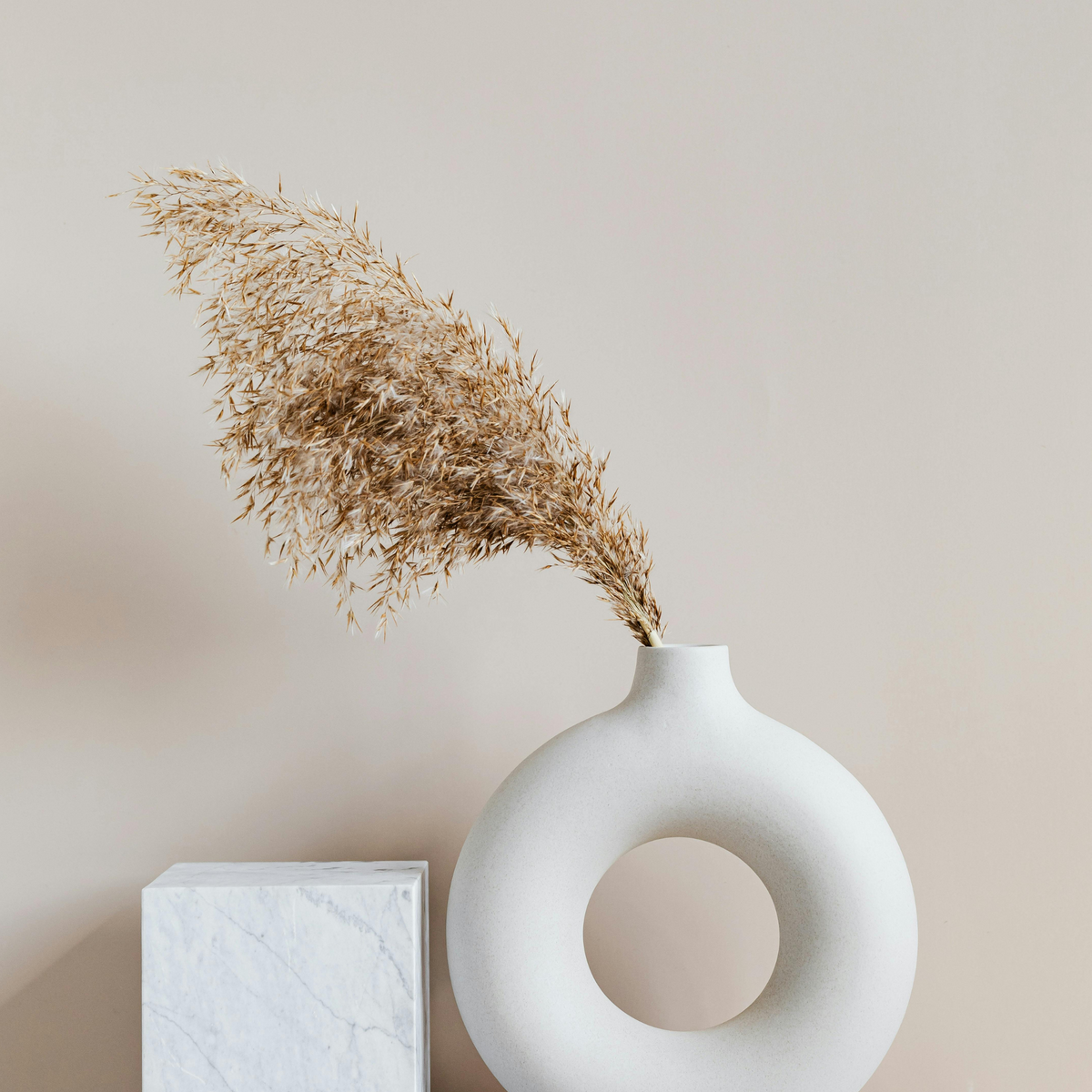 Eos Blooms Preserved XL Pampas in a round white vase beside a marble block for timeless decor.
