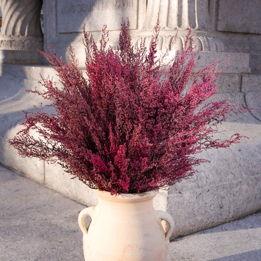 The Connemara | Preserved Heather by Eos Blooms: vibrant preserved wild heather in a pale vase.