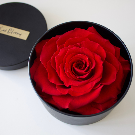 The Signature Luxe by Eos Blooms: a single luxury preserved rose in a black round gift box.