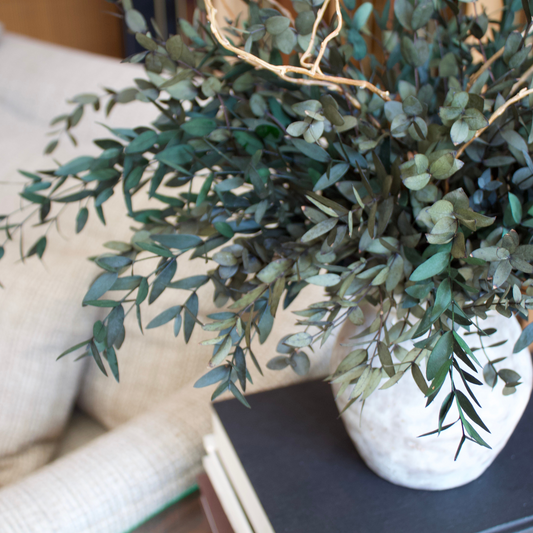 Potted green leafy plant on a table next to stacked books and a beige sofa.