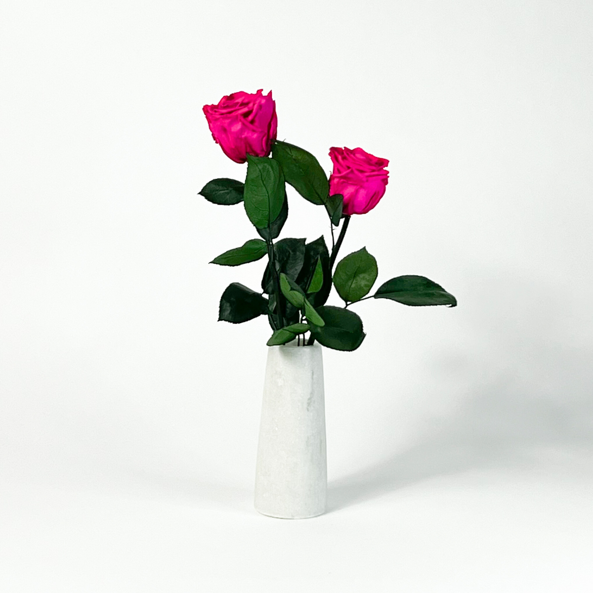 Two Luxe Duo pink roses by Eos Blooms in a white marble vase with green leaves.