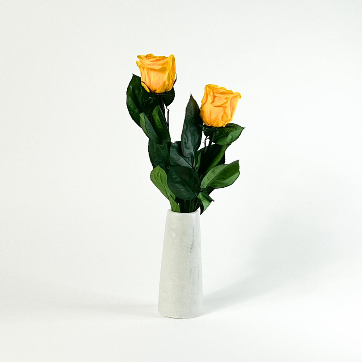 Luxe Duo by Eos Blooms: two yellow preserved roses in a tall white marble vase.