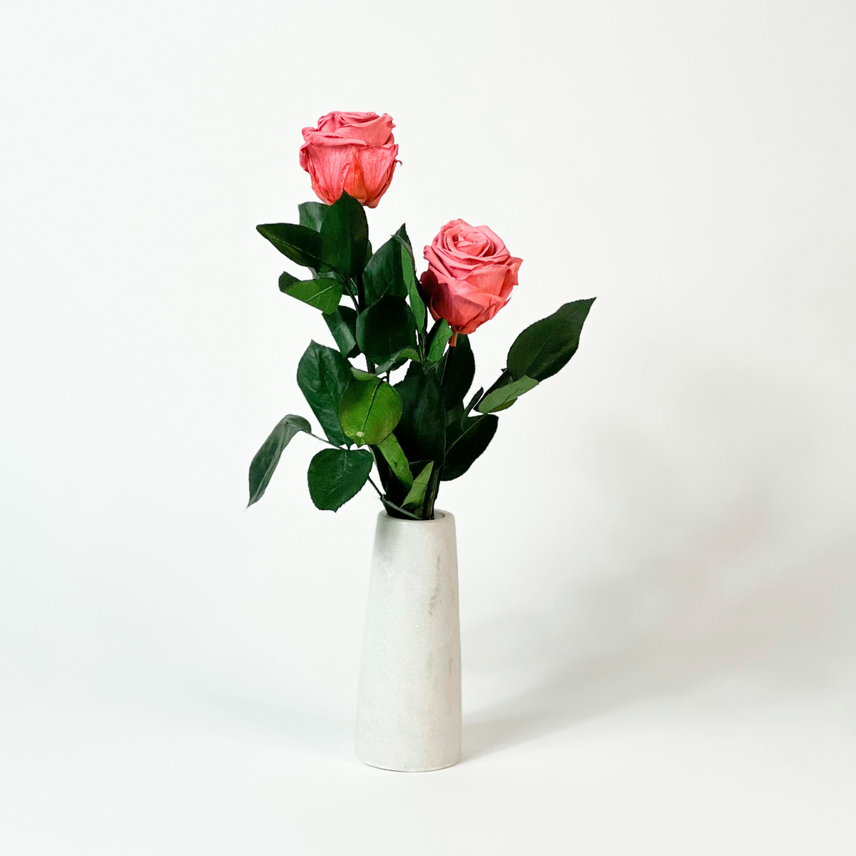 Eos Blooms Luxe Duo: Pink preserved roses with green leaves in a white marble vase.