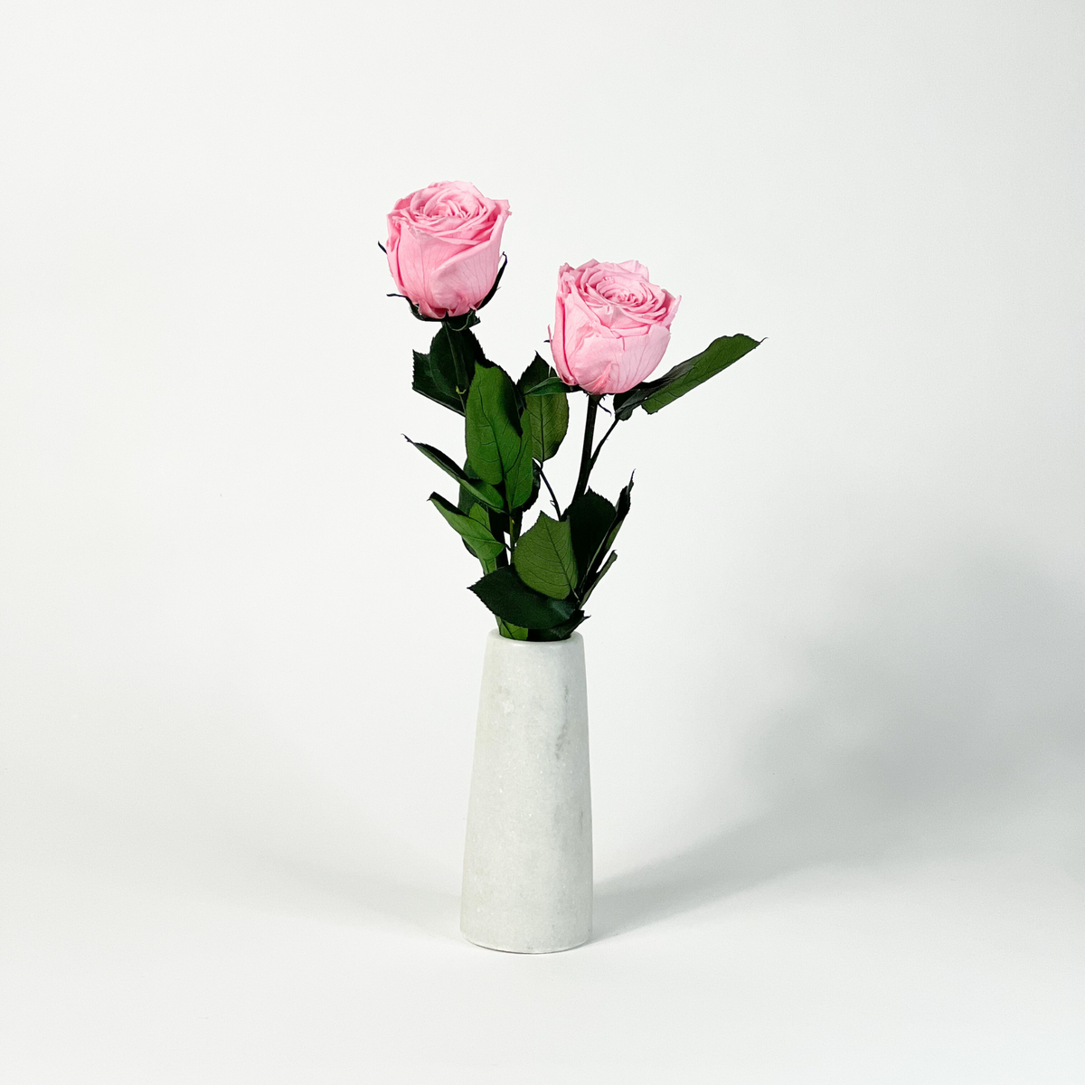 Luxe Duo by Eos Blooms: two pink preserved roses in a chic gray marble vase.