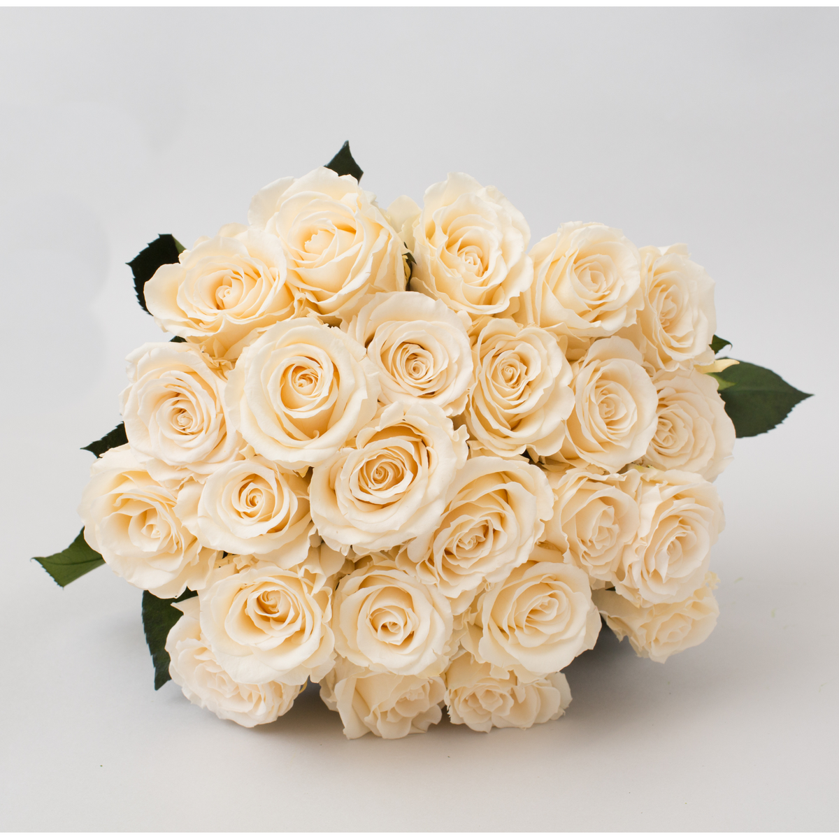 Love Story by Eos Blooms: Cream preserved roses with green leaves on a white background.