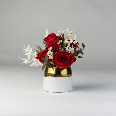 Eos Blooms Mini: Red Forever Roses and white foliage in a chic white and gold vase.