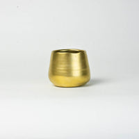 Eos Blooms Gold Vase: small, rounded, gold-colored vase on a plain white background.