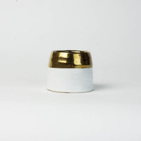 A White with Gold Vase by Eos Blooms on a white background.